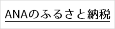 ANAのふるさと納税