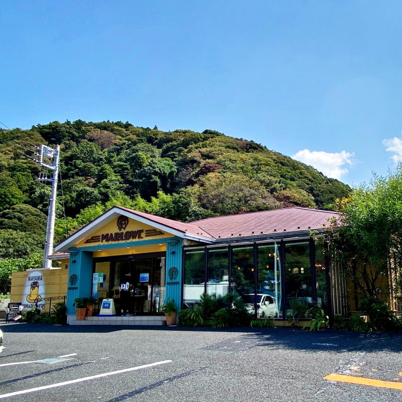 葉山マリーナ店、逗葉新道店で使える限定ランチお食事券（2名様）